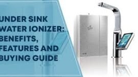 winter ionizer