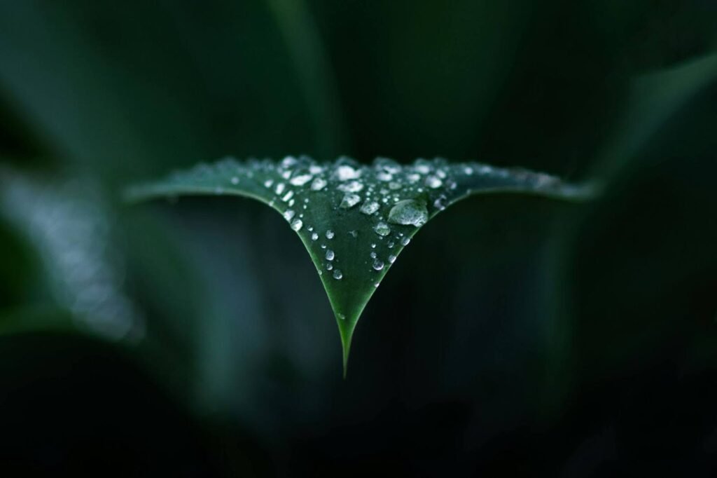 How does rainy season affect water quality