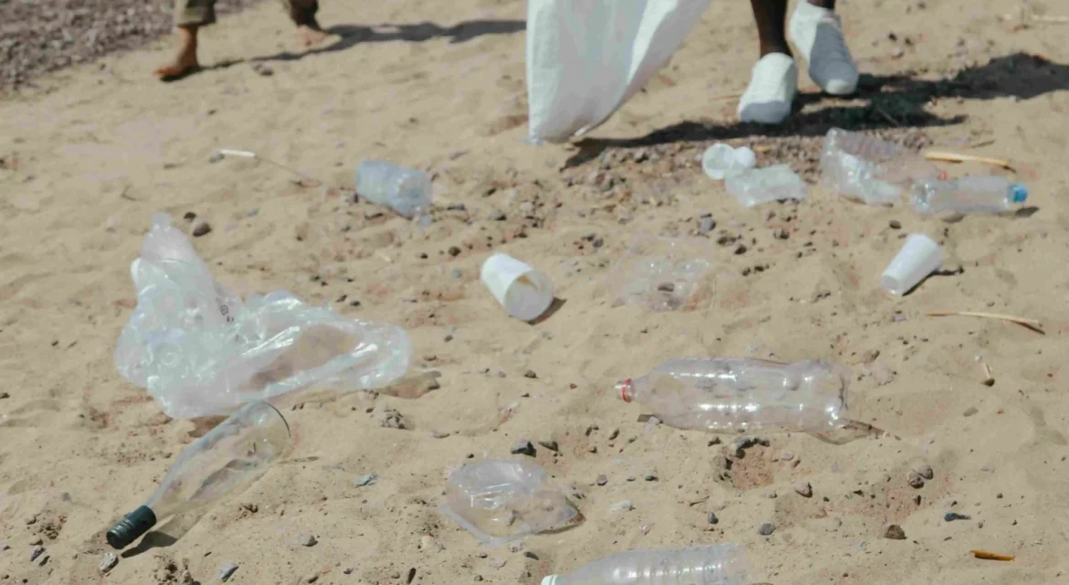 Environmental impacts of plastic waste in Kathmandu