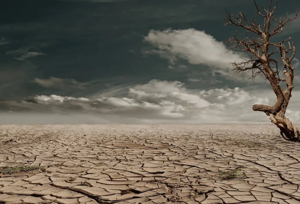 Effect of climate change on water resources